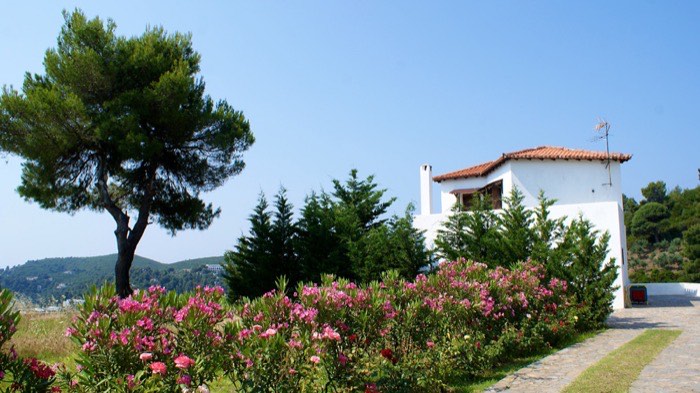 Villa Bougainvillea exterior, gardens and swimming pool — photo 2