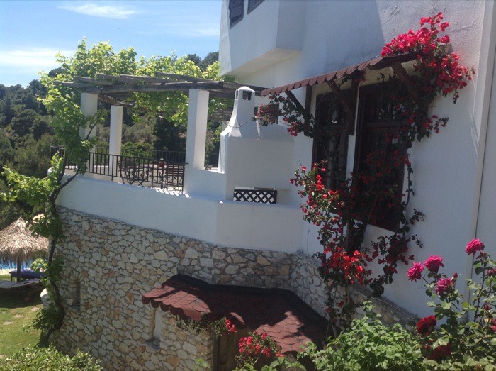 Villa Bougainvillea exterior, gardens and swimming pool — photo 7
